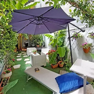 Luxury Domus Rome